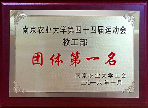 运动会第一名